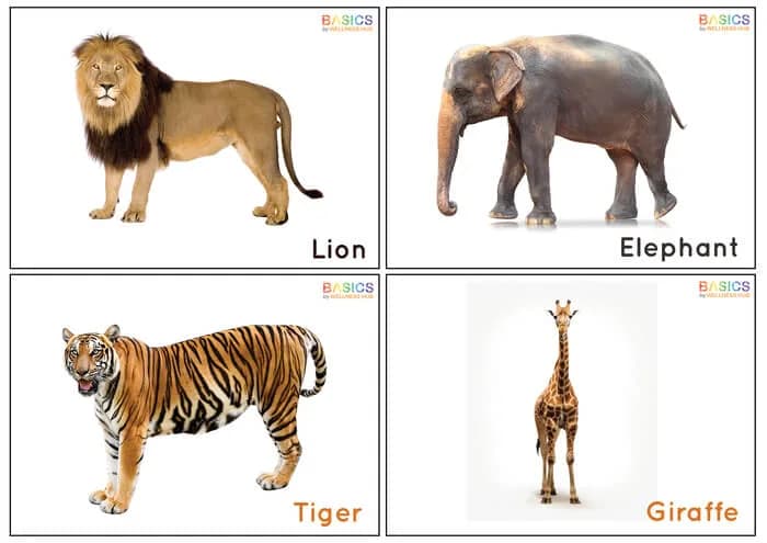 Wild Animals Flashcards: Explore Wildlife Adventures-PDF1