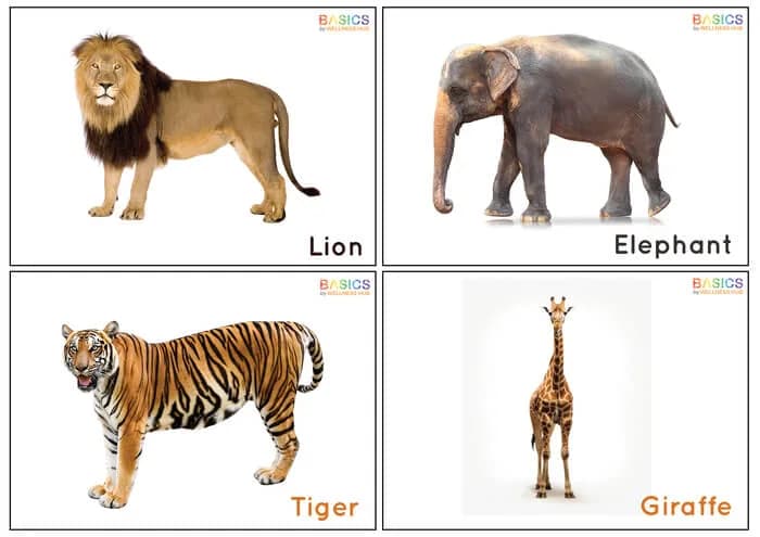 Wild Animals Flashcards for Kids: Free Printable PDF-PDF1