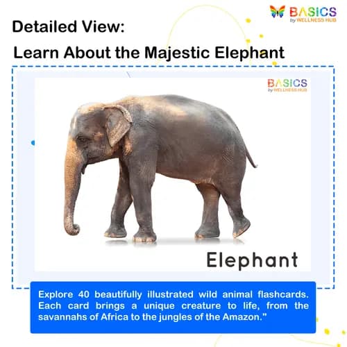 Wild Animals Flashcards for Kids: Free Printable PDF – page 2 preview
