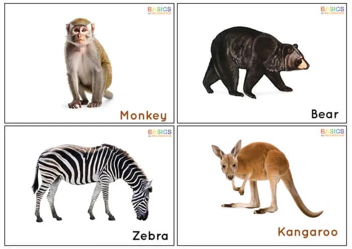 Wild Animals Flashcards for Kids: Free Printable PDF-PDF2