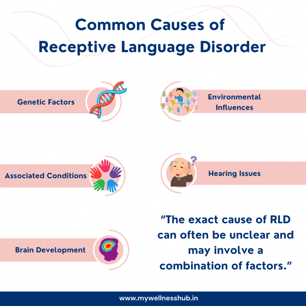 Common Causes of  Receptive Language Disorder