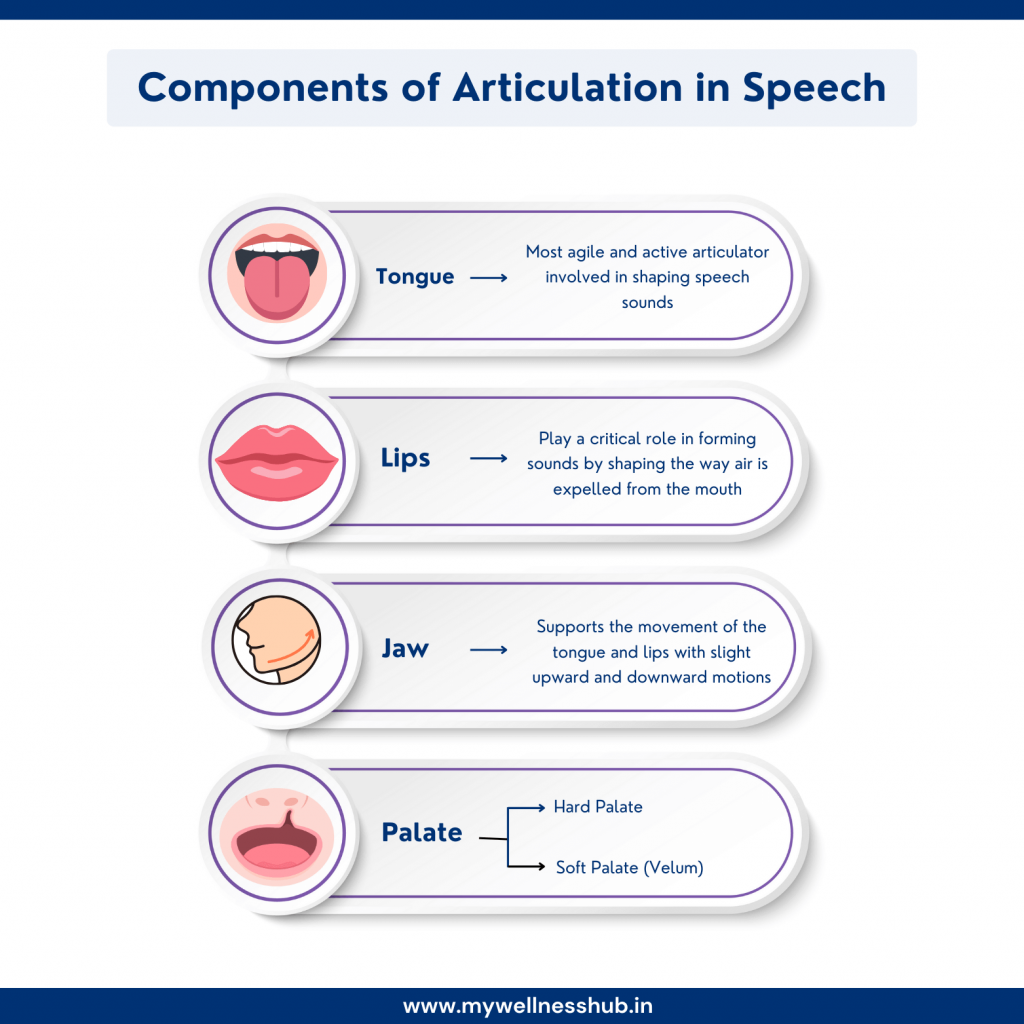 Components of Articulation in Speech