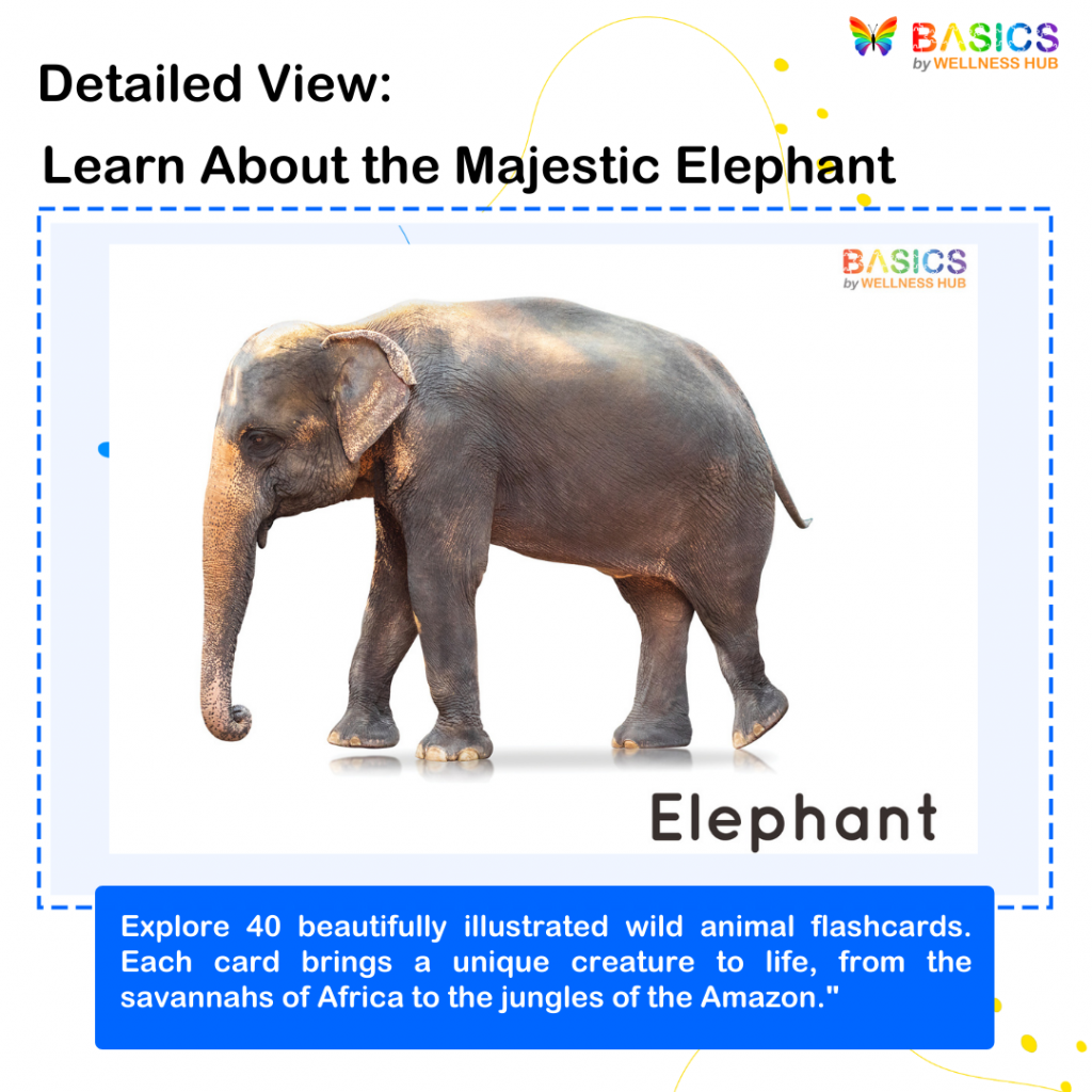 Features of the Wild Animals Flashcards