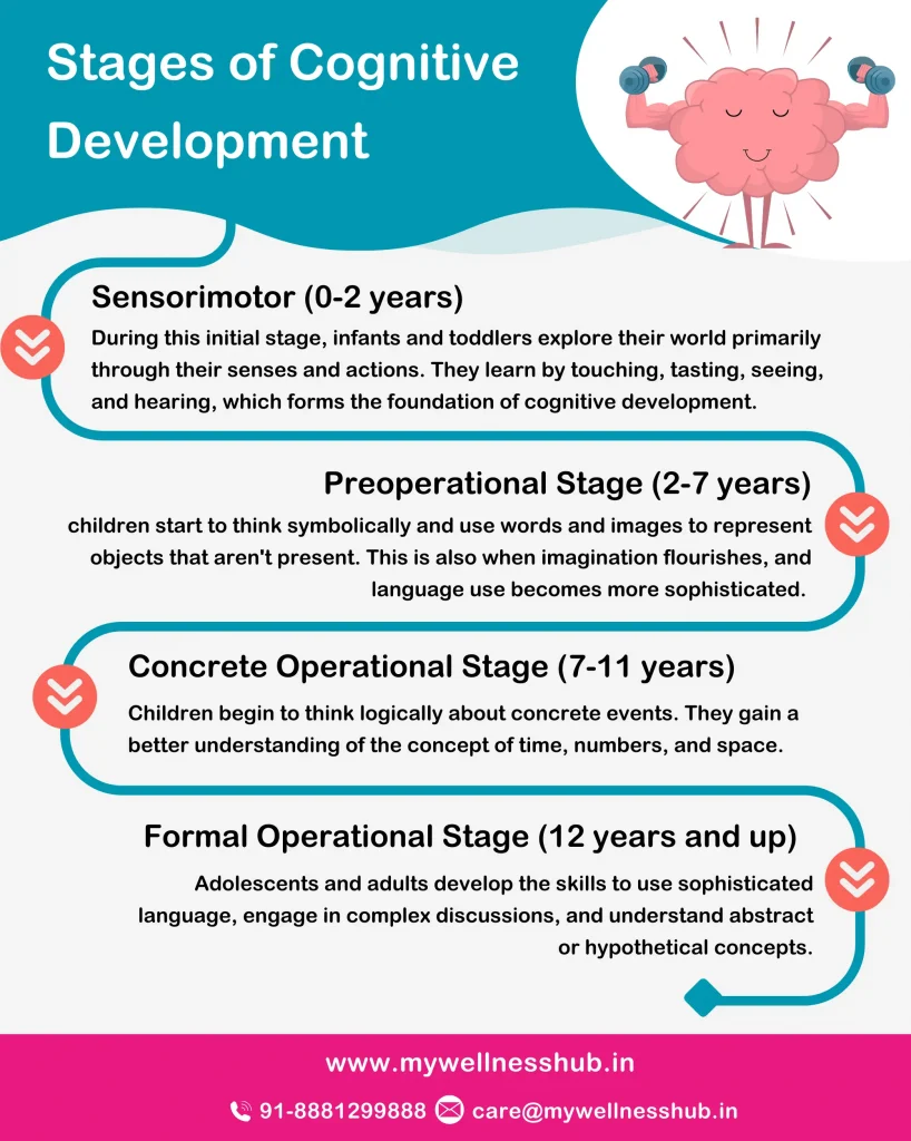  Stages of Cognitive Development