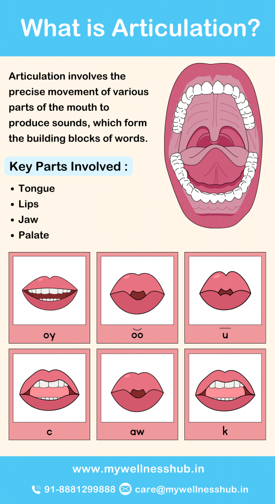 What is Articulation